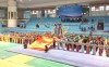 Khai mạc Giải Vô địch Cúp Wushu Quốc gia năm 2017