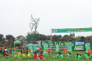 Lễ hội truyền thống “Hương sắc Trà xuân – Vùng chè đặc sản Tân Cương” xuân Bính Ngọ 2026