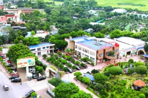 Dũng Tân – Điểm đến của những trải nghiệm xanh