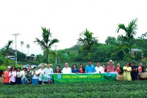 Famtrip & Presstrip “Hiking – Khám phá Trà trong mây”: Kết nối điểm đến, đa dạng hóa sản phẩm du lịch Thái Nguyên
