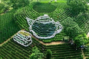 Vô Tranh xác lập kỷ lục Việt Nam với màn xếp hình ấm trà và trình diễn múa Tắc Xình quy mô lớn