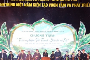 Chương trình “Trải nghiệm Vô Tranh - Dấu ấn xứ Trà, hành trình một năm kiến tạo vươn tầm và phát triển”