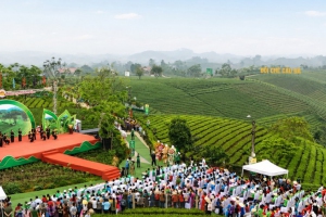 Festival Trà Quốc tế - Thái Nguyên 2026: Điểm hẹn của văn hóa trà và du lịch
