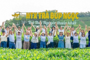 Chi bộ Trường Tiểu học Xuân Cẩm, tỉnh Bắc Ninh tham quan,  trải nghiệm tại một số điểm đến trên địa bàn tỉnh Thái Nguyên