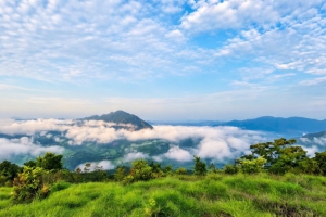 Sở Văn hóa, Thể thao và Du lịch khảo sát tiềm năng, định hướng  phát triển các điểm đến du lịch tại cơ sở