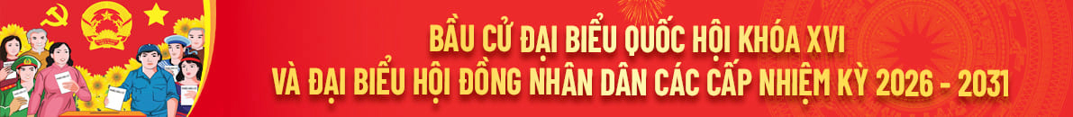 Baầu Cử