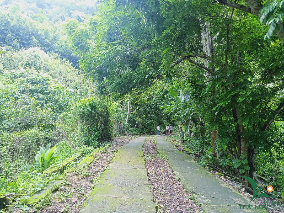 image001