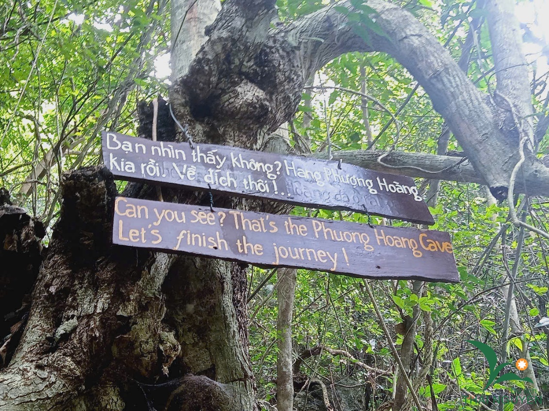 image003