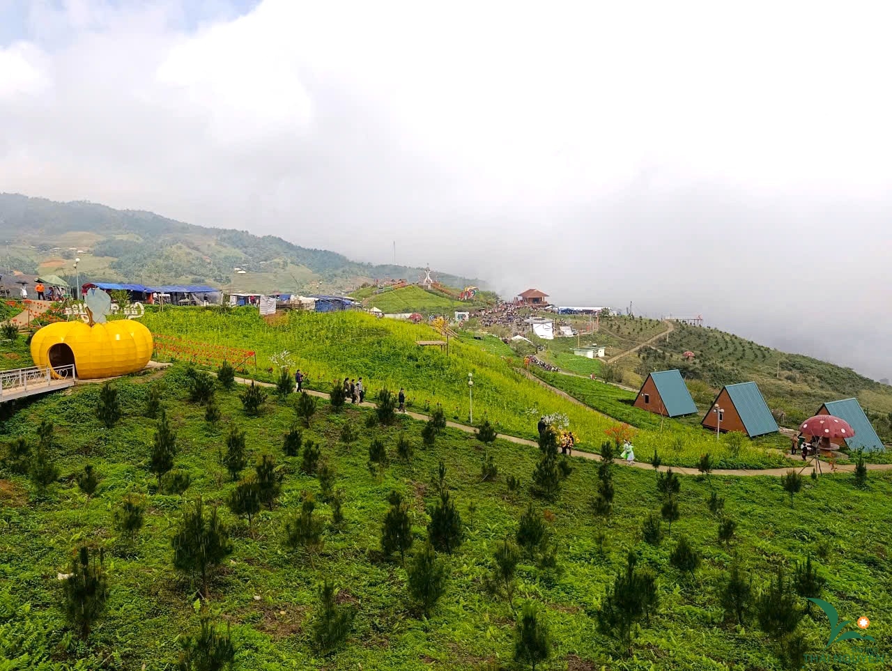 da51a7bec95647081e47