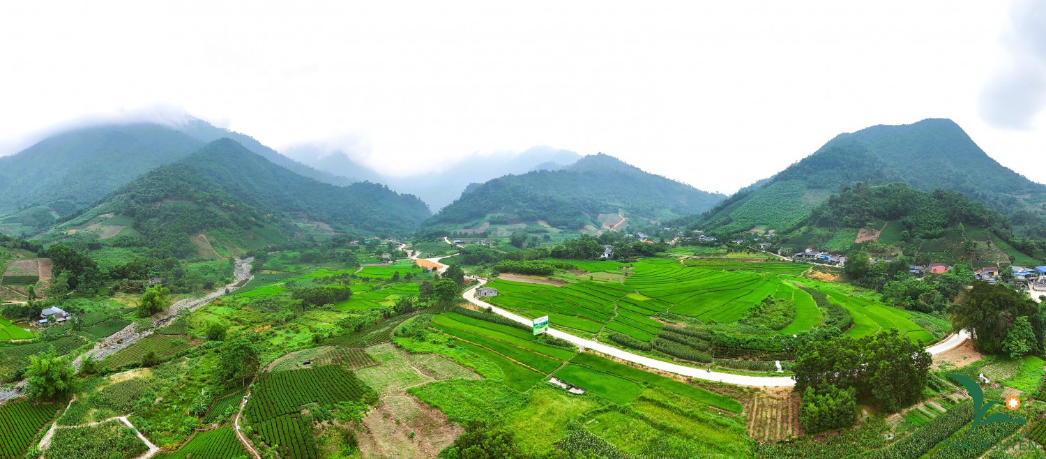 097fb2740a3a8b64d22b