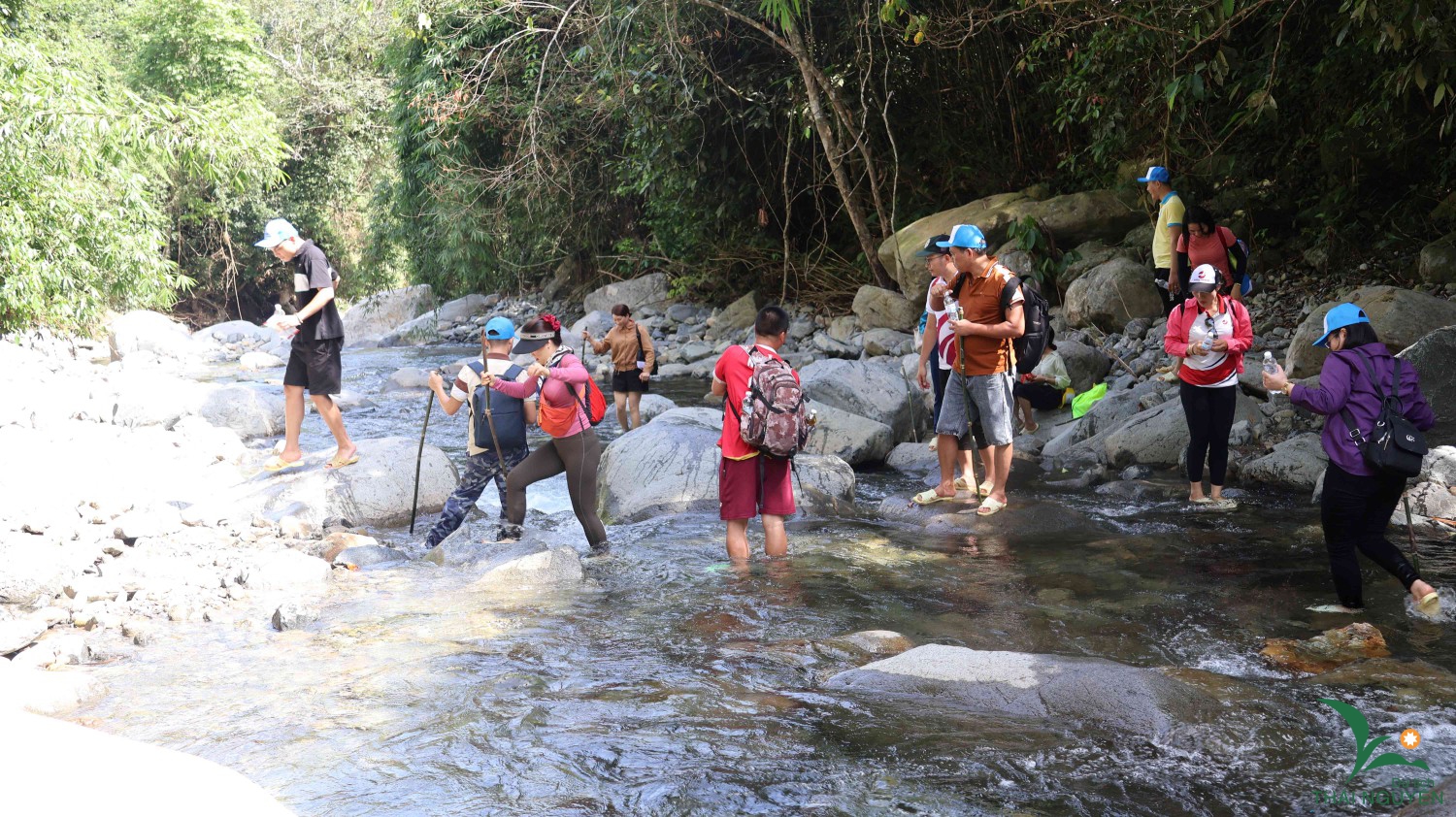 343c943c2c72ad2cf463