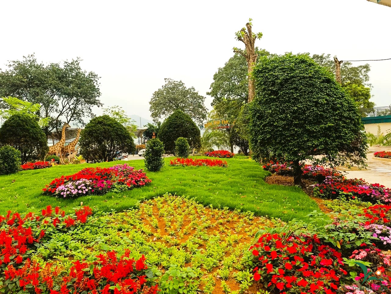 4cfa7187cdde4c8015cf