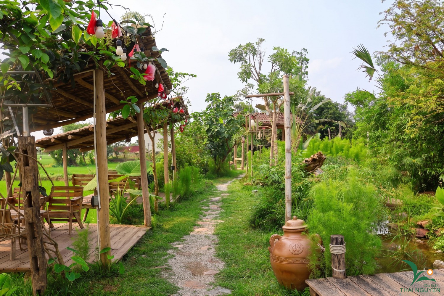 d68c03134265c33b9a74