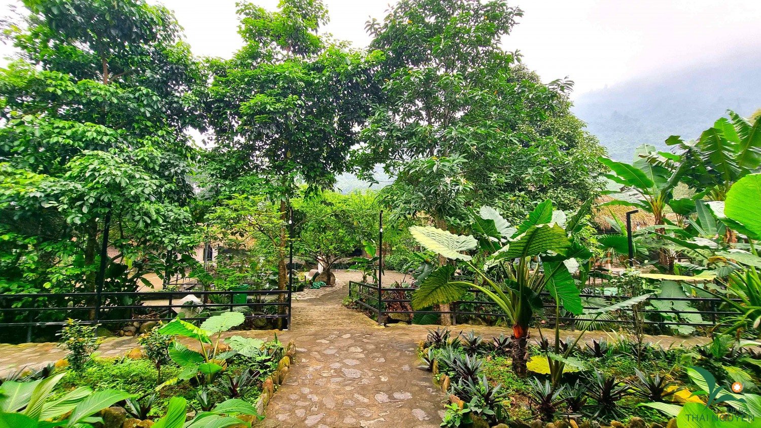 ed9768add0e351bd08f2