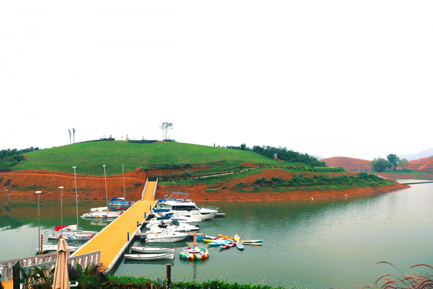 z7696062387467 dc5ed1b233b0375eefb09ff943081dd8